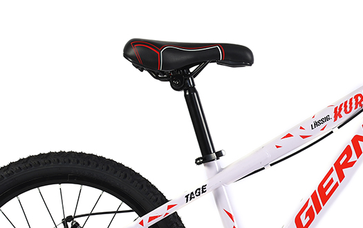 saddle saddle