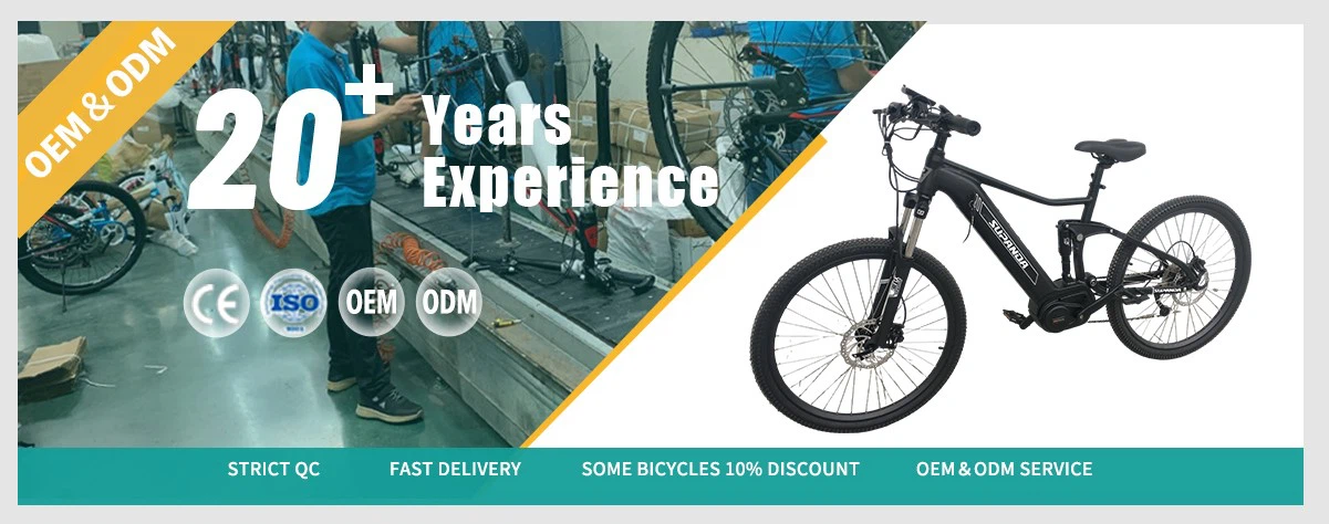 full suspension electric mountain Bike full suspension electric mountain Bike