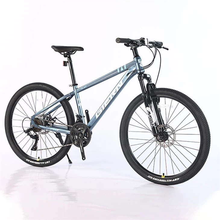 24 Speed MTB