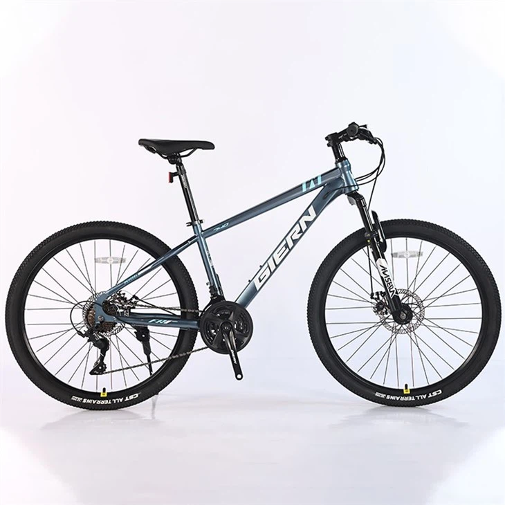 24 Speed MTB