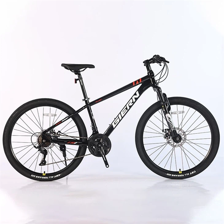 24 Speed MTB