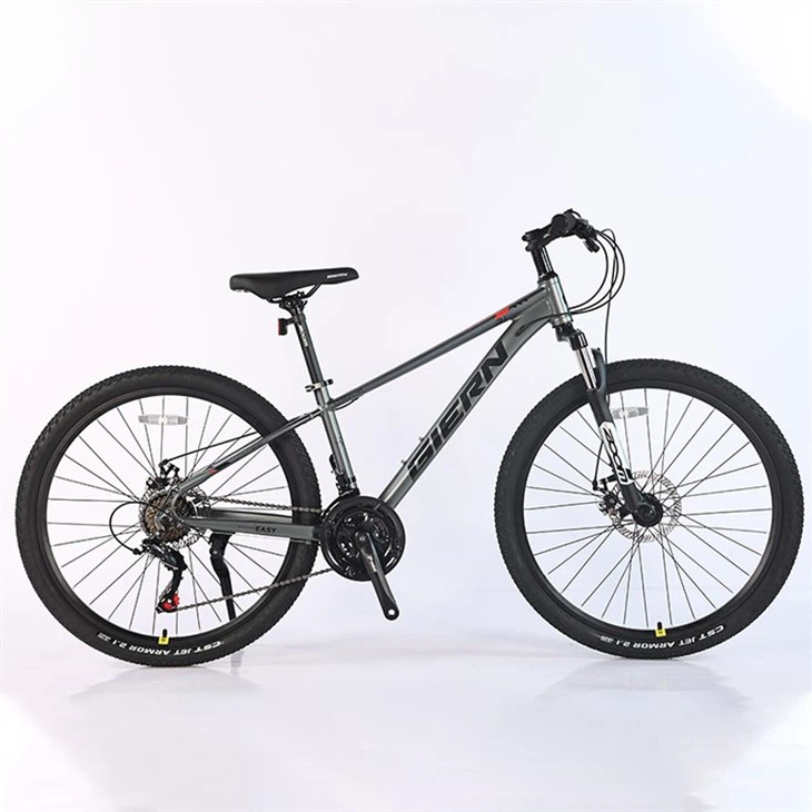 Downcountry Hardtail Mtb