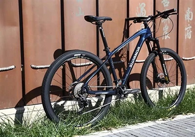 5 meilleures marques de vélos potentielles en Chine : fournisseur de vélos de...