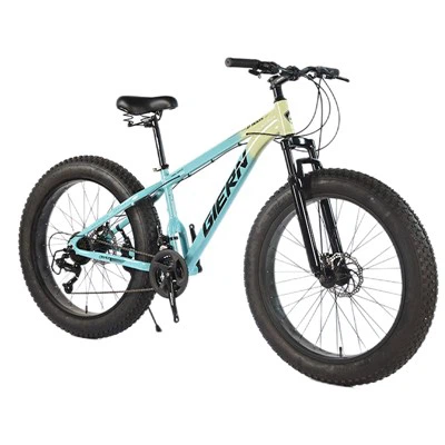Vélo de montagne à gros pneus de 26 pouces