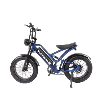 Vélo électrique de montagne à gros pneus