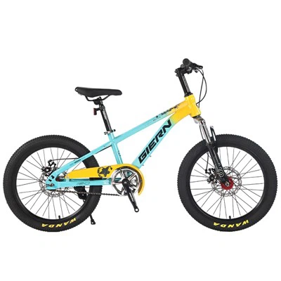 Vélo de montagne semi-rigide à vitesse unique