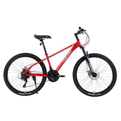 Vélo de montagne en acier à haute teneur en carbone