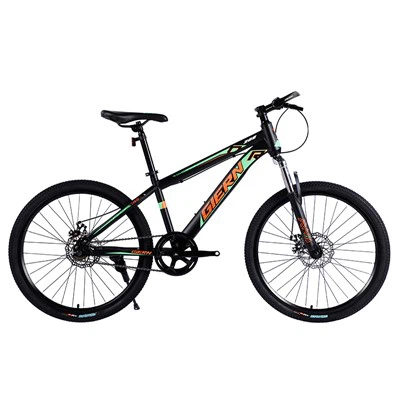 Vélo DH à vitesse unique