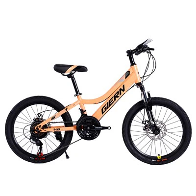 Cadre VTT rigide en acier 20