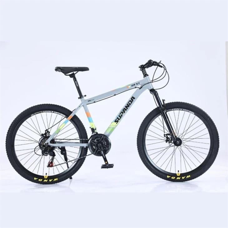 Vélo de montagne pour hommes de 21 pouces