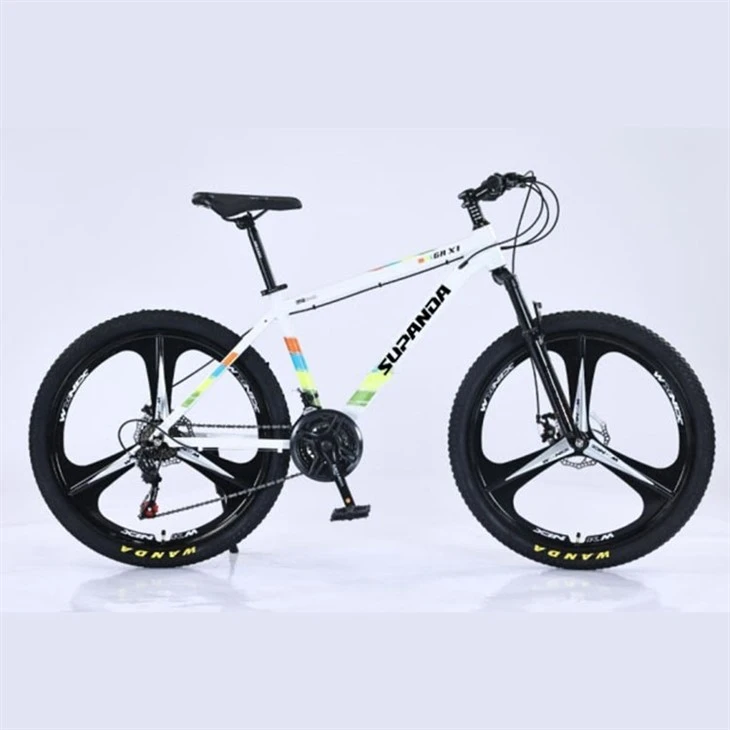 21 Inch Men's Mountain Bike