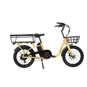 Vélos familiaux Ebikes Cargo Ebike bon marché